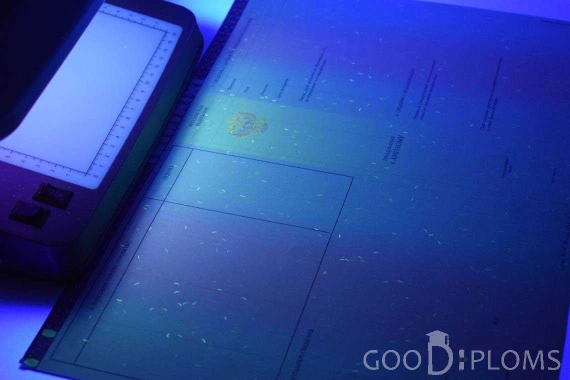 Приложение к Диплому Бакалавра с Отличием в Ультрафиолете период c 2013 по 2025 год - Алматы