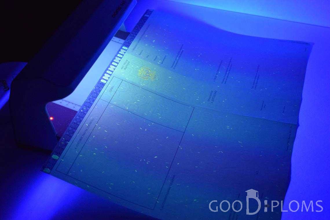 Приложение к Диплому Магистра в Ультрафиолете в период c 2014 по 2025 год - Алматы