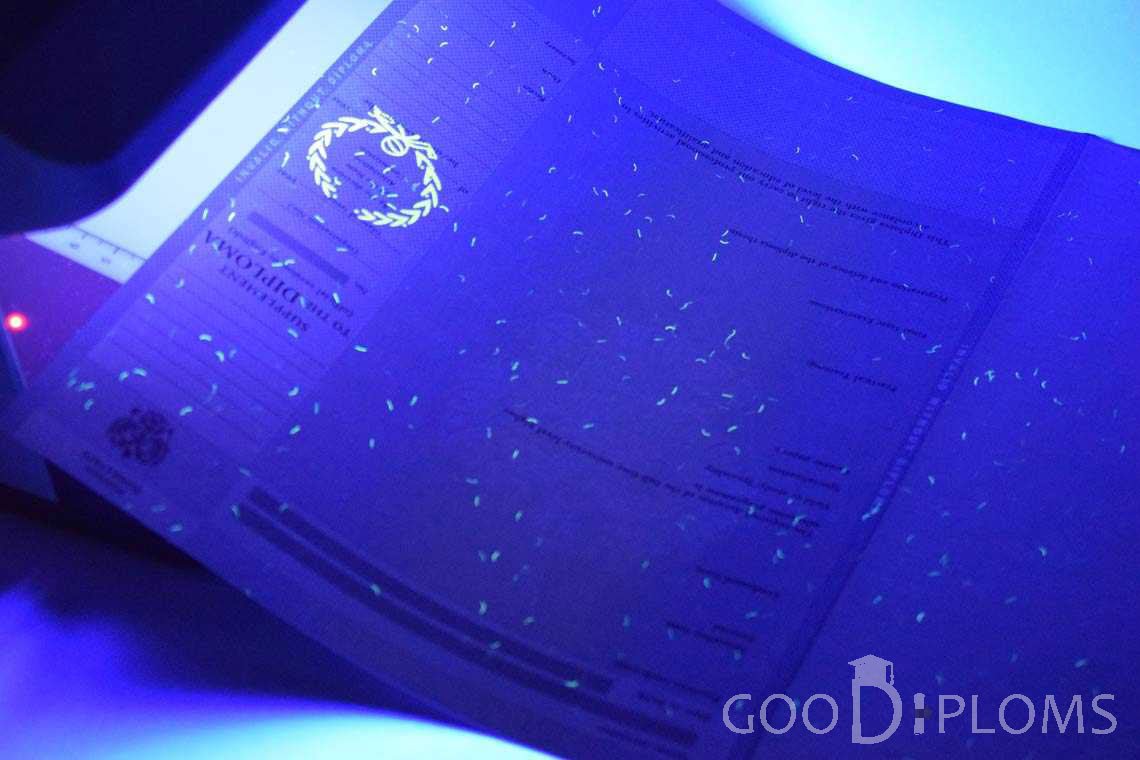 Приложение к Диплому Для Иностранных Граждан в Ультрафиолете - Алматы
