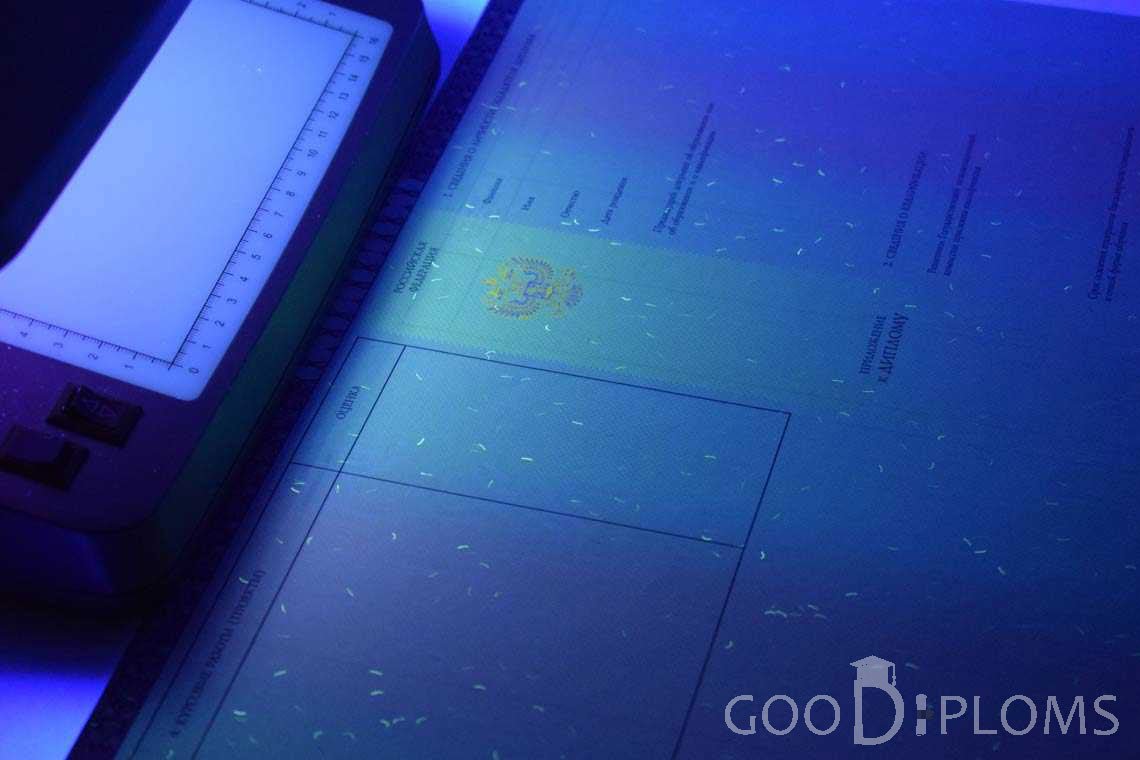 Приложение к Диплому о Высшем Образовании с Отличием в Ультрафиолете - Алматы